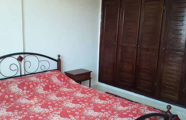 Duplex Diamond Vert D40 Vue Jardin - Foto 3