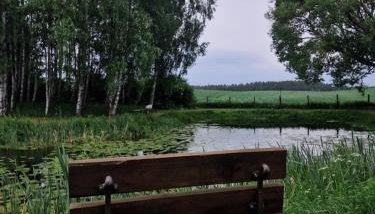 Domek nad Stawem - Foto 4