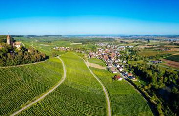 Biohof Döbler Ferienwohnungen - Foto 45