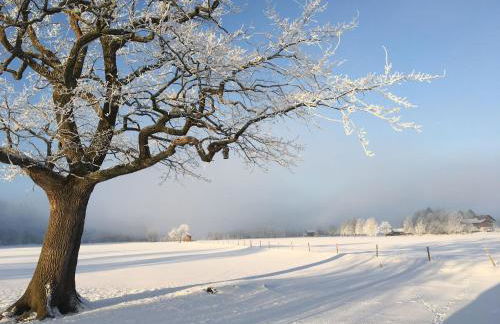 Ferienwohnung Am Moosbach - Foto 26