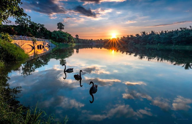 Friendly House QMP - Ecopark - Photo 42