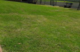 Panoramico Playa de Altar I - Foto 13