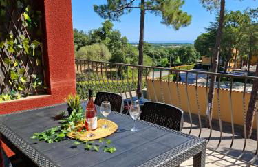 Domaine Des Mimosas - Foto 46