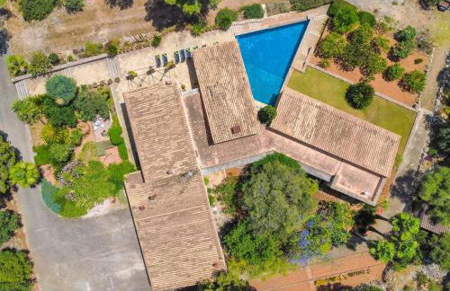 Can Toni Gat - Foto 52