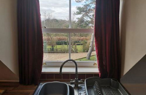 THE STUDIO ROUGHTON - Foto 14