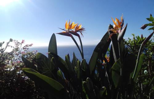 Apartamento do Sol - ETC Madeira - Foto 13