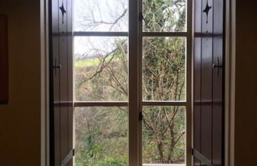 Nantgwynfaen Organic Farm Wales - Photo 7