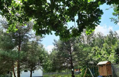 Sosnowe Zacisze - Foto 47