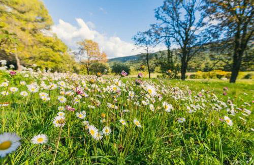 Domaine familial la marjoline - Photo 29