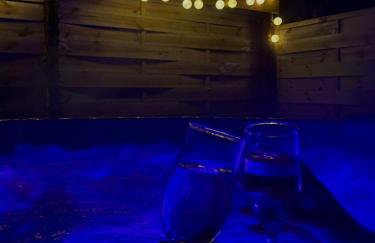 Wilga Leśne SPA - Foto 45