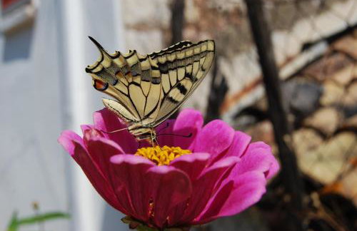 Dryades Guesthouse - Foto 38