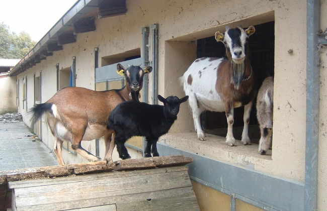Farmhouse in Umbria Near Palazzo Bourbon - Foto 31