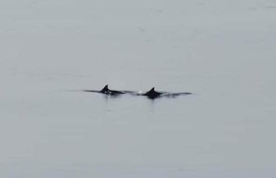 Flat by the sea with great view - Foto 15