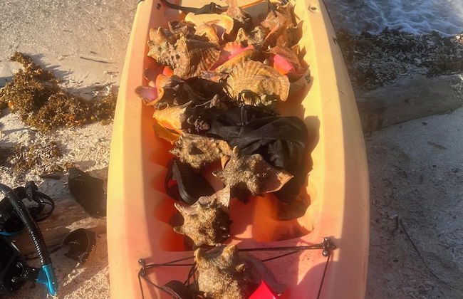 finca beach house and cabana - Foto 23