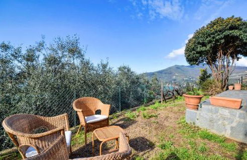 Il Viburno - Foto 11