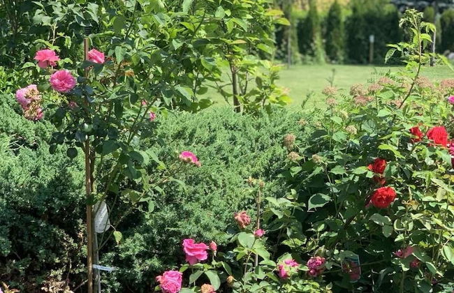 Luxury Villa - JessApart Walendia - Photo 19