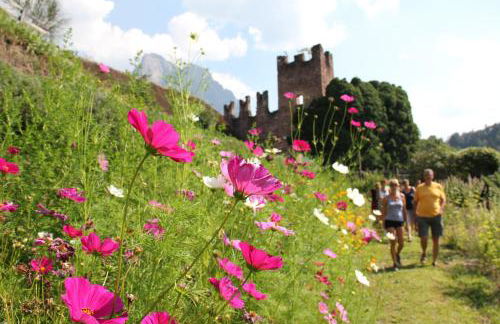 NaturResidence Dolomitenhof - Foto 33