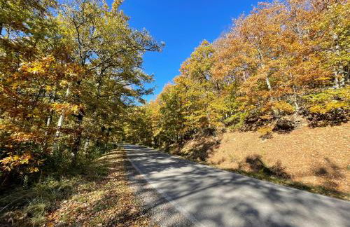 Dimora Medievale Lucolena - Foto 36