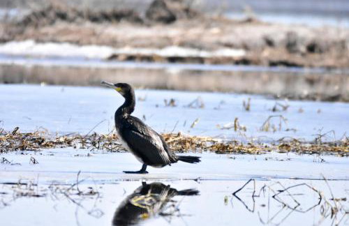 U Wileńskich - Foto 30