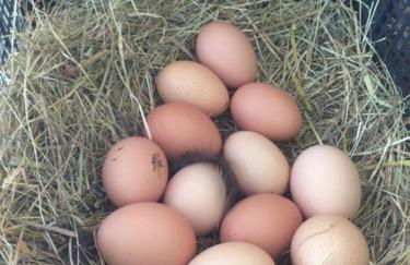 SO MAGIC - La casa nel bosco - Foto 49