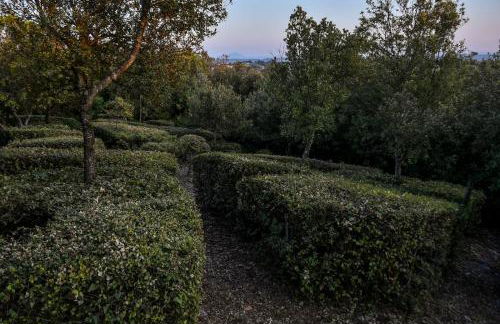 Agriturismo L'Arte del Verde - Foto 63