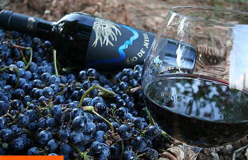 La Cerreta - Terme di Sassetta - Foto 31