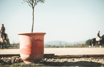 Le Mas Charlemagne - Foto 51