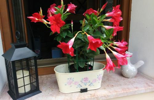 Casetta next to the Creek Dino Buzzati - Photo 53