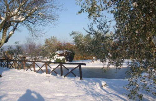 Poggio Agli Ulivi - Foto 21