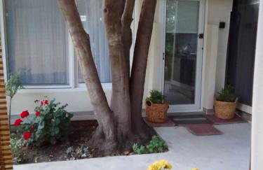 Nikolas House - Foto 44