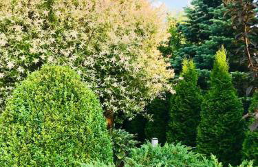 Luxury Villa - JessApart Walendia - Foto 56