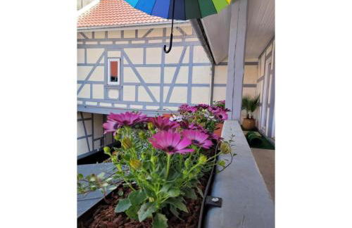 Sternadelshof - Foto 26