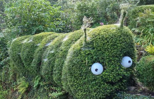 Cosy Cottage overlooking the Teifi Gorge - Foto 7