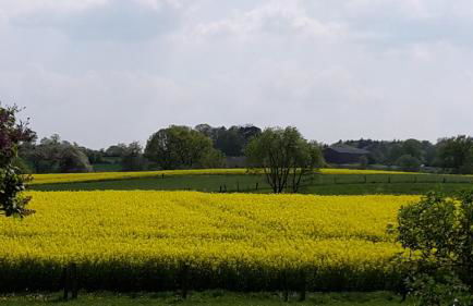 Gemütliche Fewo auf dem Resthof - Foto 24