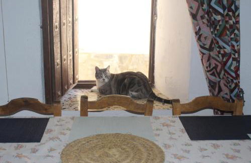 Casa Violeta - Foto 61