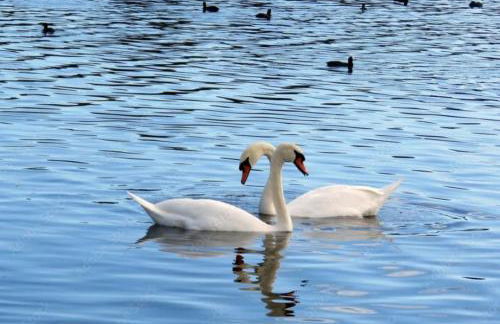 Beautiful 2 Bedroomed Cottage with Garden 10 minutes from Hornsea Beach - Foto 31