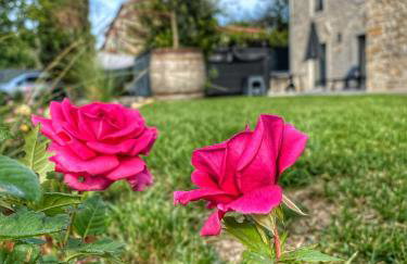 Villa La Vinella with heated pool - Foto 52