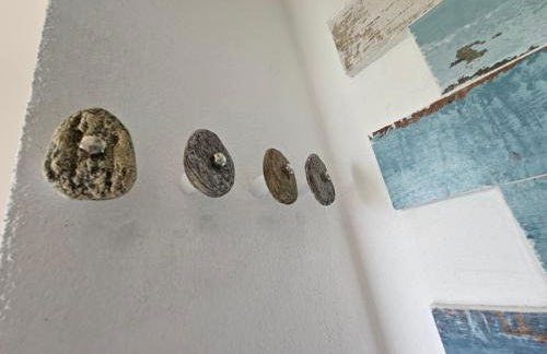 La flabellina blu - Foto 17