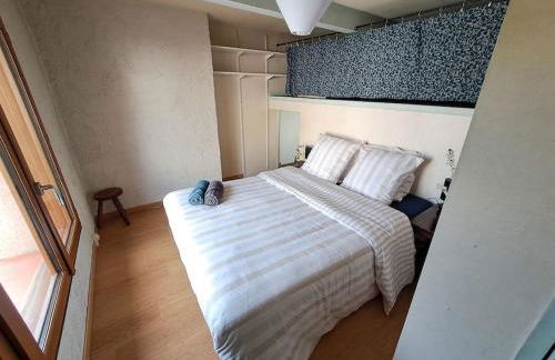 L'échappée authentique- Maison centre-ville- véranda climatisée-jardin - Photo 23