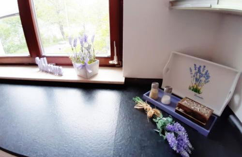 Ferienwohnung Albstadt Panorama - Foto 73