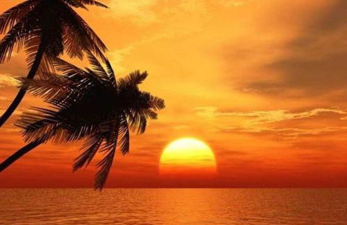 The Beach on Longboat Key - Foto 30