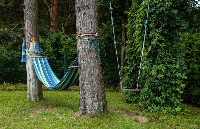 Jędrzejki - Foto 18