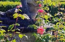 Chavarri Etxea, casa indiana XBI00149 - Foto 54