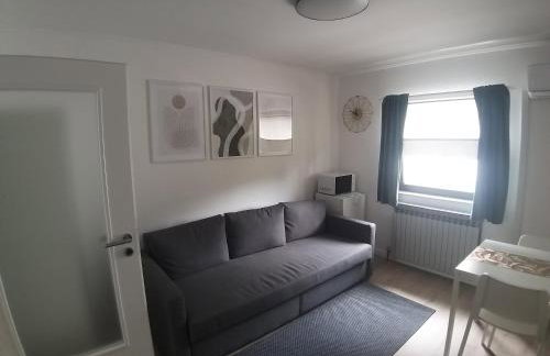 Studio Apartment Lenchy - Foto 5