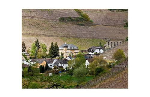 Villa Näkel-Sonnenberg - Foto 4