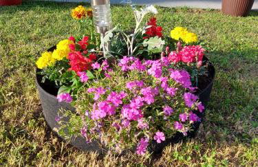 Apartment Rosie - Foto 7