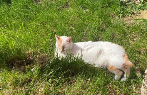 L'Origami - Domaine de la Houblette - Photo 11