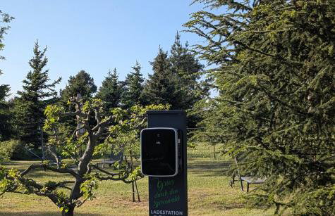 Pension zum Reiterhof, Fewo 2 - Foto 18