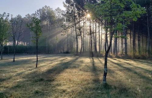 Gîte calme et paisible en forêt, idéal pour famille et amis - FR-1-410-486 - Foto 9