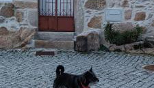 Mourisco Guest House - Foto 2